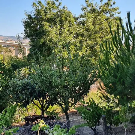 In Our Small Garden * Arruda dos Vinhos
