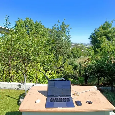 In Our Small Garden * Arruda dos Vinhos