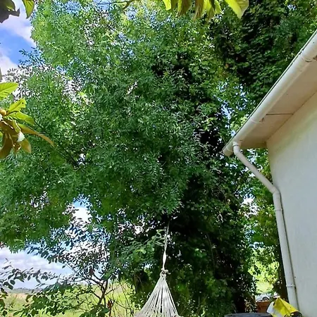 Kemping In Our Small Garden